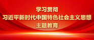 91日本熟女激情肏屄学习贯彻习近平新时代中国特色社会主义思想主题教育_fororder_ad-371X160(2)